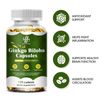 GINKGO BILOBA 500 mg - Cognitive Support - Memory & Concentration - 120 Capsules