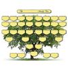 Family Tree Ancestor Chart - 5 Generations Pack of 5