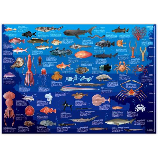 Deep Sea Fish Picture Book Children's Poster The Access Deep Sea Encyclopedia A1 Size