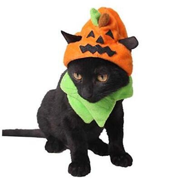 Pet Halloween Costume Cat Pumpkin Hat with Scarf Halloween Cat Outfit Orange