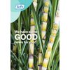 Tepe Good Toothbrush Set of 5 (Compact Soft)