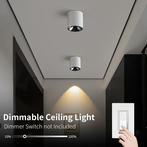 Oliterlux 24W LED Dimmable White Ceiling Spot Light Aluminum 4.92'' Cylinder Spotlight Indoor Modern Minimalist Focus White Ceiling Down Light Fixture for Living Room Hallway Foyer CRI90 3000K