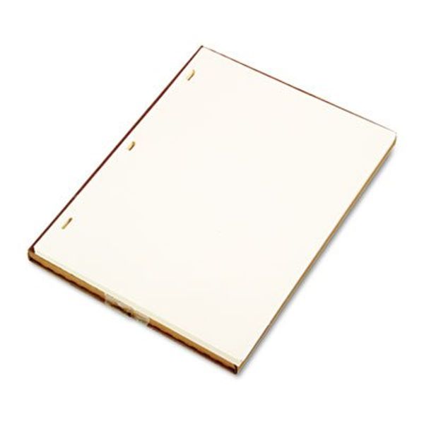 Wilson Jones Looseleaf Minute Book Ledger Sheets, Ivory, 11"" x 8-1/2, 100 sheets/box (901-10)