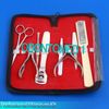 Professional Manicure Kit pedicure 6 piece new