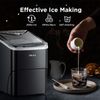 Ice Maker Countertop & Brita Water Filter Pitcher for Tap and Drinking Water wit