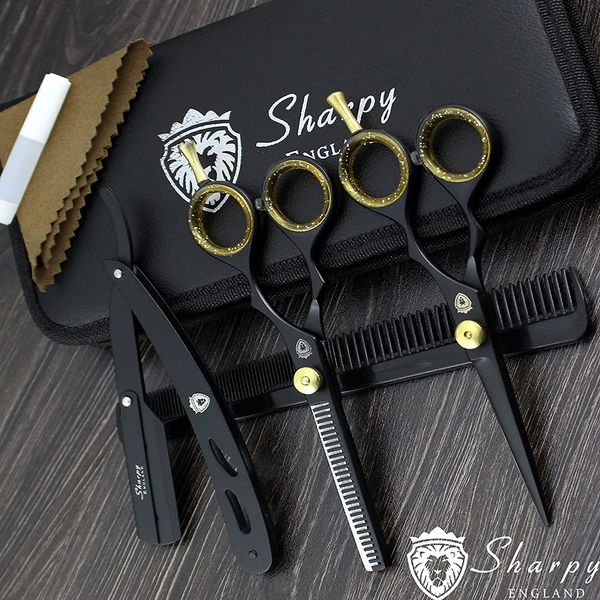 Professional Hairdressing Scissors Barber Salon Shears SET 5.5" with Pouch Comb & Razor