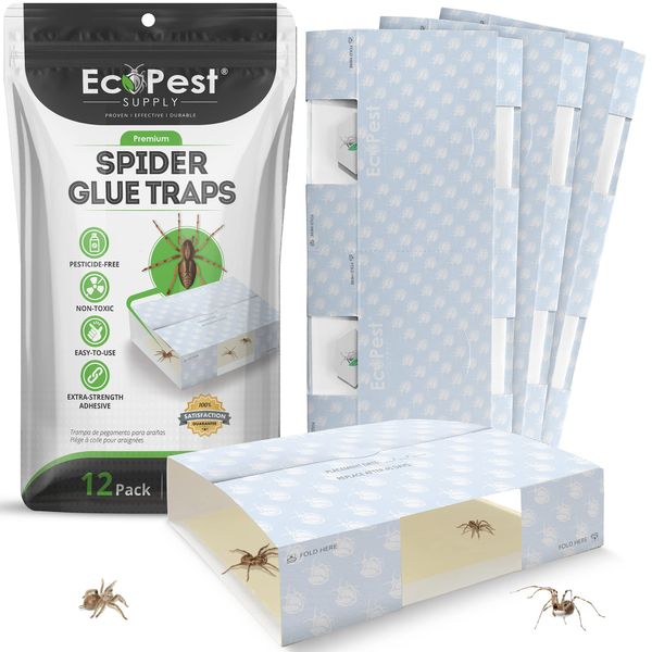 Spider Trap — 12 Pack | Sticky Indoor Glue Traps for Spiders and Other Bugs and Crawling Insects | Adhesive Spider Bait Trap, Monitor, Killer and Detector for Pest Control