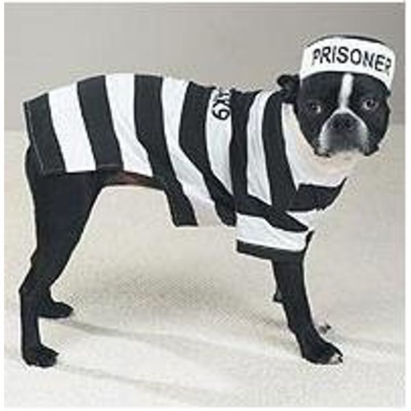 SMALL - Prison Pooch Dog Costume