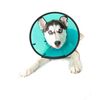 MDC Smart Collar Size 2 Medium (Neck 23-30cm)-Assortment
