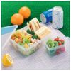 ENTEC S-13 High Pack Square Shape, 16.9 fl oz (500 ml)