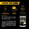 Creapure Creatine - 100% Pure German Creatine Monohydrate Powder - 82 Serving...