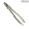 Dental Extraction Forceps Fig.1 for Upper Centrals, Incisors, and Canines