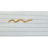 Bundle of Hard Candy Gold Shimmer  Eyeliner: Nugget
