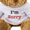 NEW - I AM SORRY - Teddy Bear - Cute Soft Cuddly - Sorry Gift Present