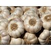 Garlic Bulbs Organic USA 3 Bulbs