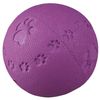 TRIXIE TX-34861 Toy Ball, Natural Rubber 6cm, assorted colors