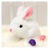 Plush Dog Electric Toy with Voice