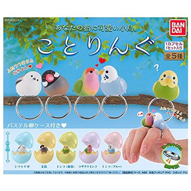 Kotoringu Gacha Capsule Toy (Complete Set of 5)