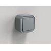 Legrand - Plexo 10A waterproof two-way or two-way switch delivered complete for mounting in grey