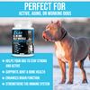 Kilab Pitbull All in One Bully Muscle Builder Soft Chew