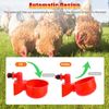 12PCS Chicken Automatic Watering Cups Drinker Waterer for Duck Quail Poultry New
