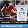 1000 Grams Micronized Creatine Monohydrate Powder 200 Serving  Adept Nutrition