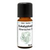Eukalyptusöl Ätherisches Öl 100% Eukalyptus Öl 10ml Aromatherapie Duftöl