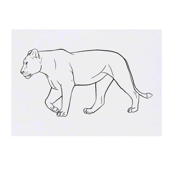 Large 'Lioness' Temporary Tattoo (TO00029185)