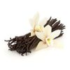 French Vanilla Whole Bean 10oz Dessert Coffee Fresh Roasted