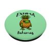 Exuma Bahamas Frog in Pineapple Costume PopSockets Adhesive PopGrip