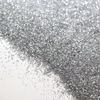 [ glitter-pro ] glitter flake (silver b0100) (100g) (0.8mm)