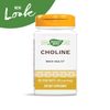 Nature's Way Choline, 500 mg per serving, 100 Tablets (Pack of 2)