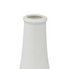 White cleyera Japonica Placket
