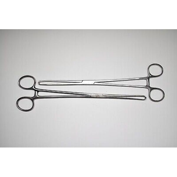 Surgical Tissue Forceps SET OF  2  Stainless Steel Allis Tissue Forcep 10 Inch