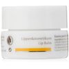 Dr. Hauschka: Lippenkosmetikum (4 ml)