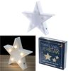 Decorative LED Light - Small Star