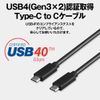 BUFFALO BSUCC4P5A08BK/N USB 4 Gen 3x2 Cable Type CtoC 0.8m Black
