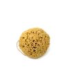 12CM Sea Sponge Unbleached Honeycomb Natural Seasponge for Bath Use, for Baby, or Art use (S Size 10-12 cm)