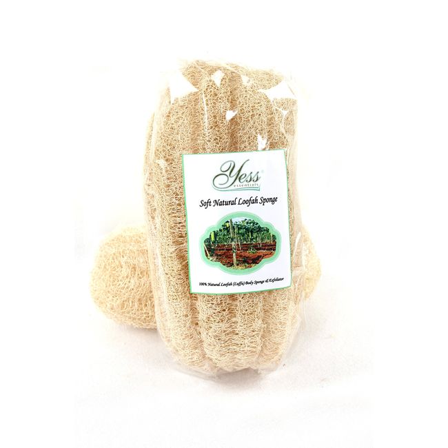 Yess Essentials Soft Natural Loofah Sponge (Standard Size)