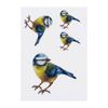 4 x 'Blue Tit' Temporary Tattoos (TO00048991)