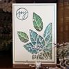 Sizzix Thinlits Die Set 664212, Poinsettia Pieces by Tim Holtz, 3 Pack, One Size, Multi-Colour Colour