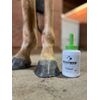 Silver Hoof EQ Therapy® by Draw It Out 16oz