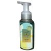 Tea & Sage with Pineapple Mango Hand Soap – 8.75 fl oz (259 mL)