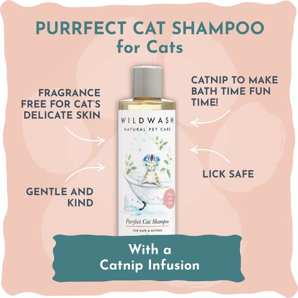 WildWash Purrfect Cat Shampoo with Added Catnip 250ml - Add Shine and Luminosity to Dull Hair - Natural, Sulphate and Paraben-Free for Sensitive Skin 250ml (Shampoo & Conditioner)