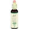 Bach, Bach Original Flower Remedies Centaury, 0.67 Fl Oz