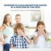 pH Alkaline KDF Carbon RO Inline Water Filter | Reverse Osmosis Mineral ADD ON 