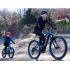 TRAX Pro Towing System Bicycle/Bicycle/E-Bike
