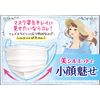 Hakugen Earth Bee Style Pleated Type Cool Comfort Light Beige 20 Masks for Women