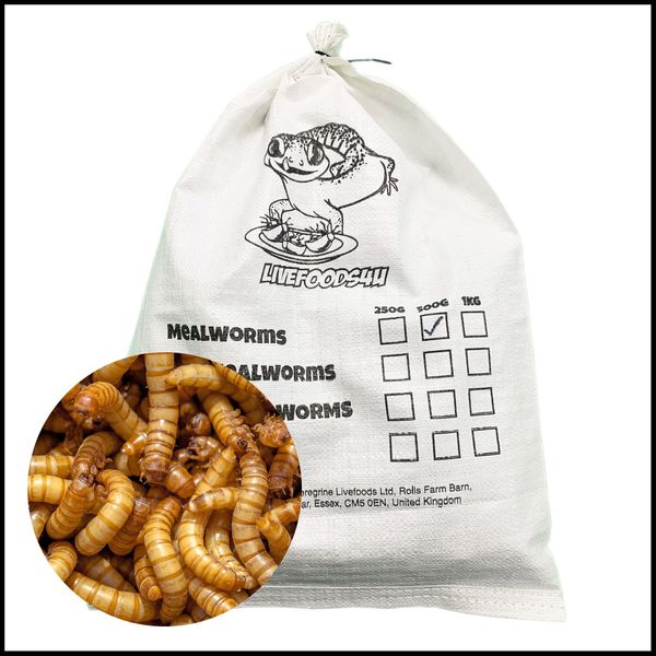 Livefoods4u Live Mealworm 500g Bulk Bag (20-30mm) - Live Food for Reptiles & Garden Birds