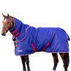 Shires Tempest Original 100 Turnout Rug & Neck Set (6'3")
